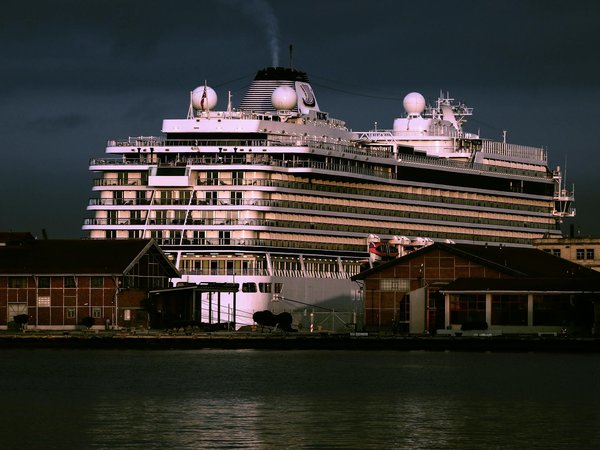 Quels sont les meilleurs spots pour une plongée avec les requins-baleines à Djibouti?